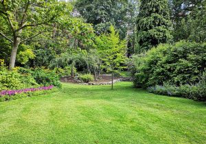 Optimiser l'expérience du jardin à Chauffry
